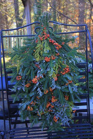 Watauga County Farmer's Market